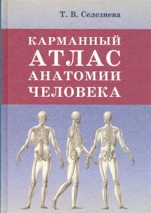 Селезнева Т. - Карманный атлас анатомии человека