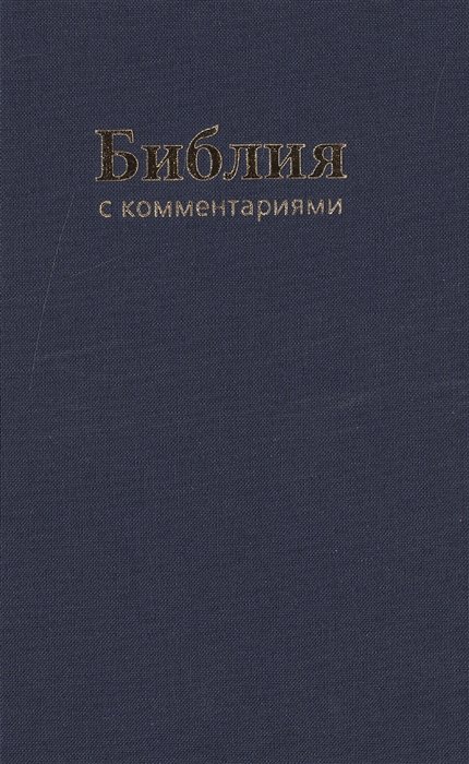 Библия. Книги Священного Писания Ветхого и Нового Завета. Канонические. В Синодальном переводе с комментариями и приложениями