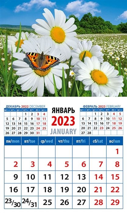 Календарь магнитный на 2023 год "Пейзаж с ромашками и бабочкой"