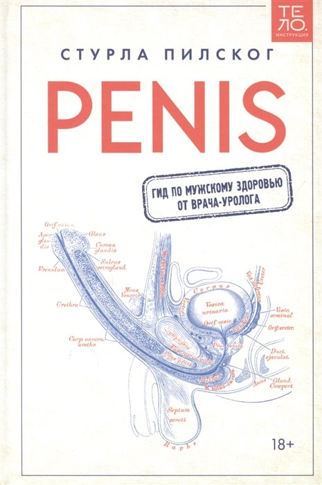 Penis.      -