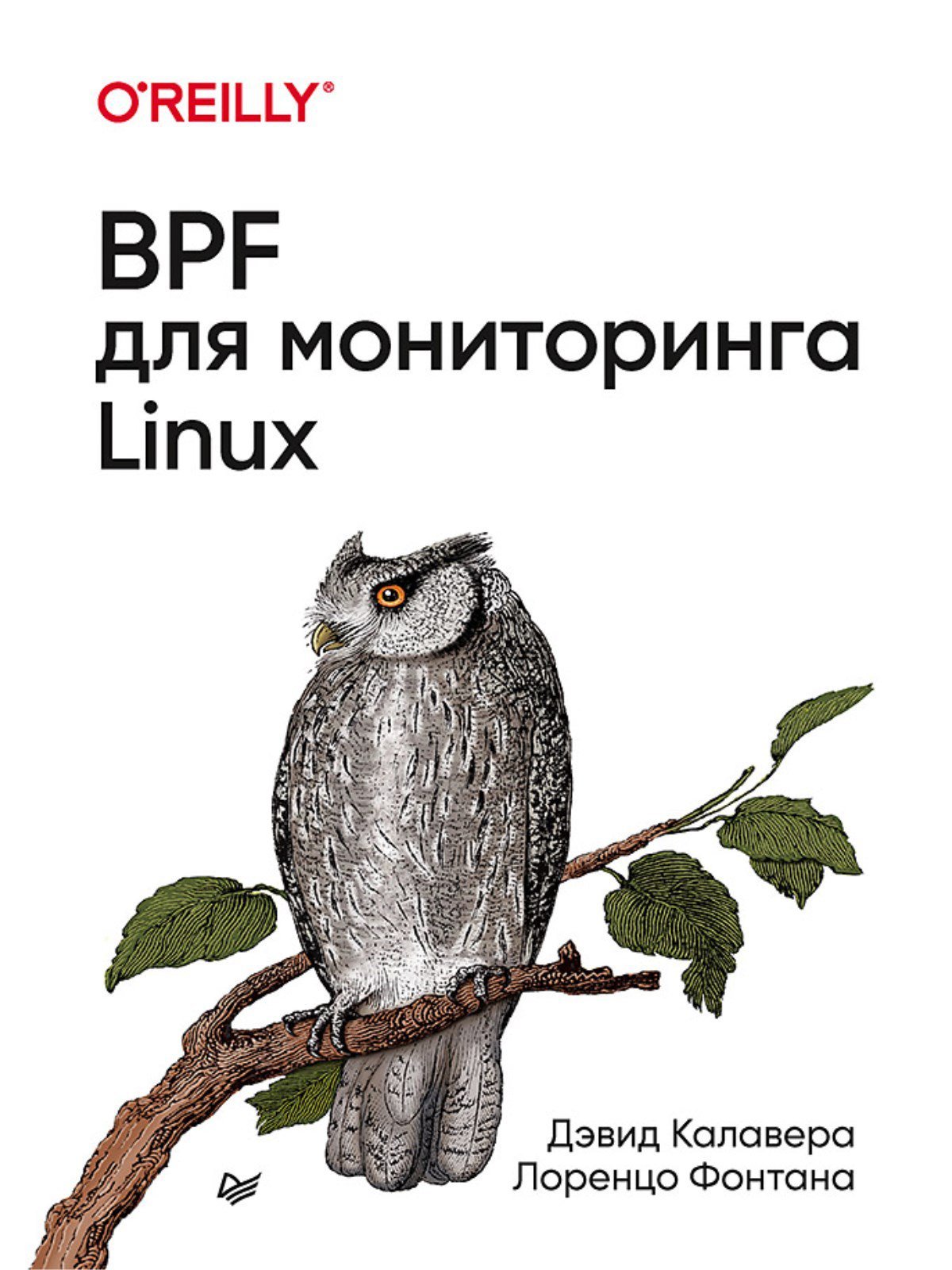 BPF   Linux
