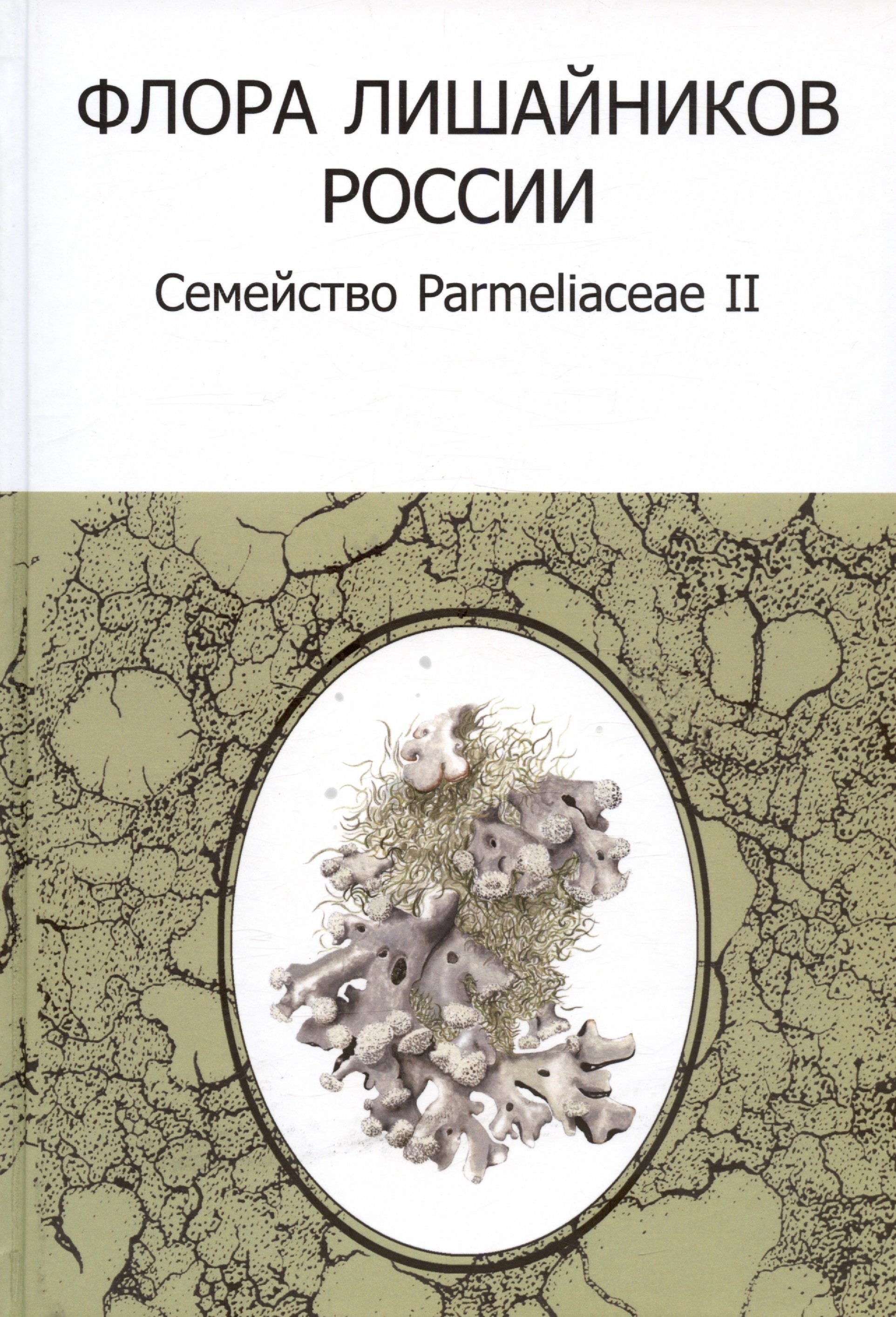   :  Parmeliaceae II