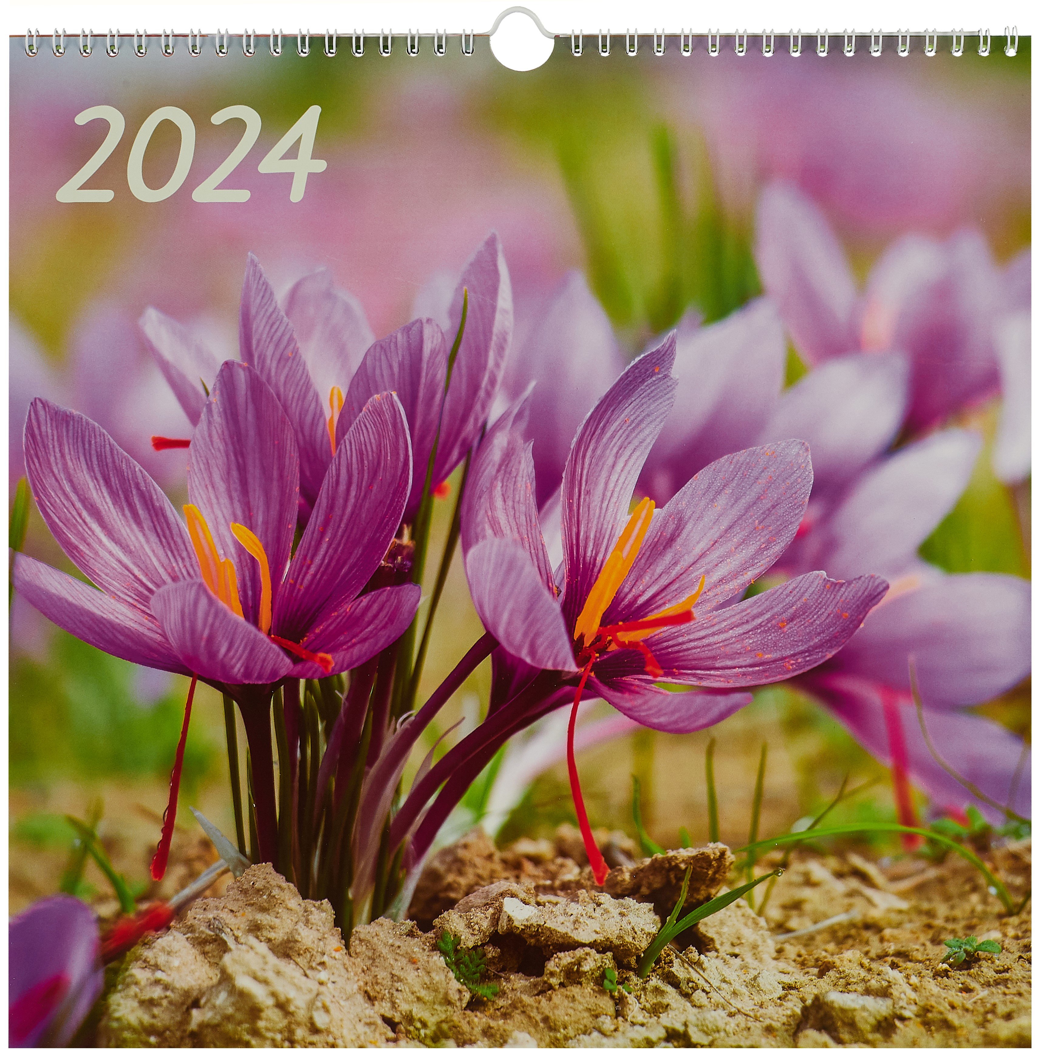 

Календарь 2024г 320*320 "Цветы. 7" настенный, на спирали