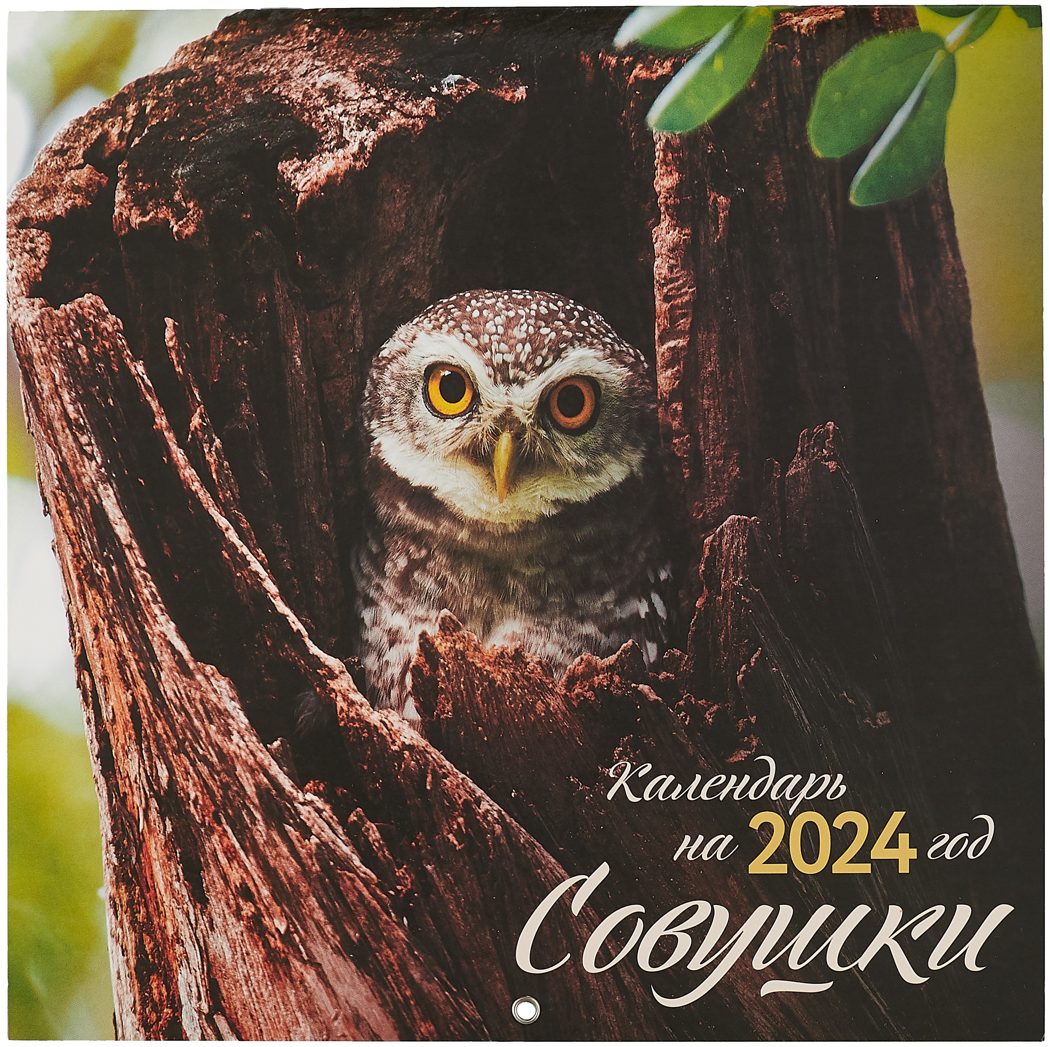 

Совушки. Календарь настенный на 2024 год (300х300 мм)