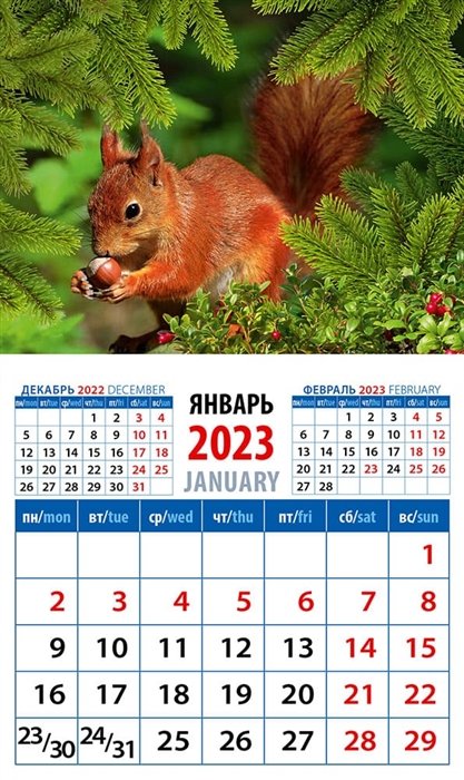 Календарь магнитный на 2023 год "Белка с орехом"