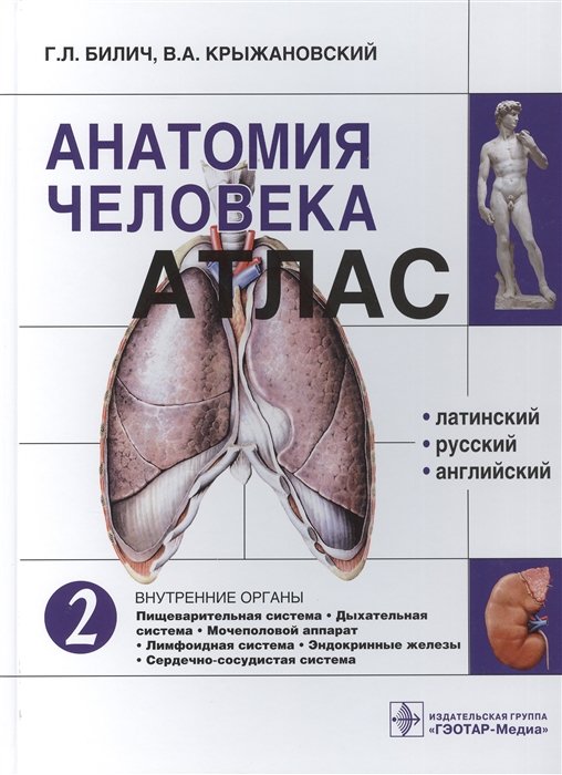 Билич крыжановский анатомия. Анатомия человека атлас Крыжановский 3. Атлас анатомии человека Билич Зигалова. Атлас анатомии Билич Крыжановский. Крыжоновский атлас анатомия человека 3 том.