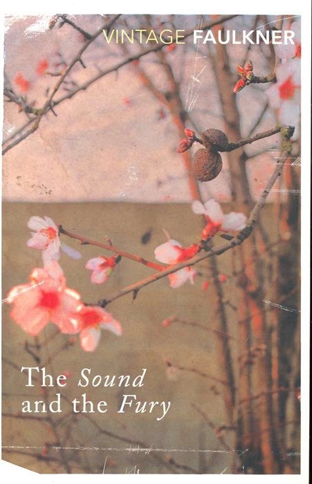 

The Sound and the Fury / (мягк) (Vintage). Faulkner W. (ВБС Логистик)
