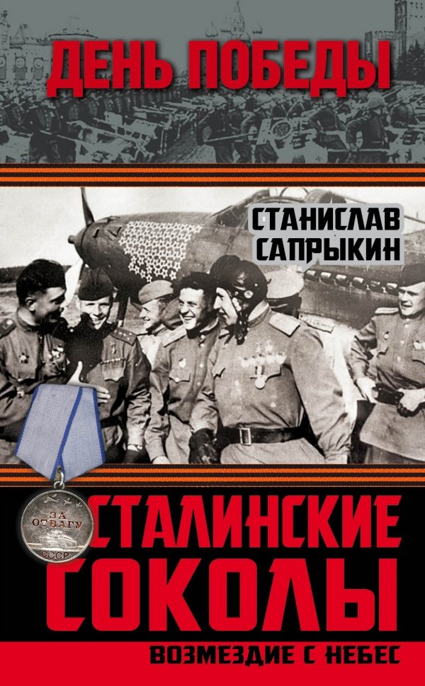 

Сталинские соколы. Возмездие с небес