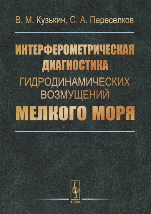 Кузькин В., Переселков С. - Интерферометрическая диагностика гидродинамических возмущений мелкого моря