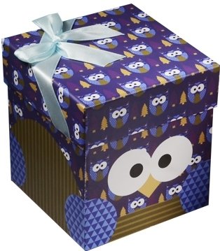 Коробка подарочная Совы.Owls подарочная коробка изящный комплимент