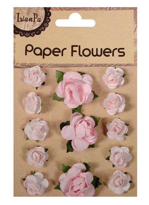  Paper Flower, 3 +10 , -  -