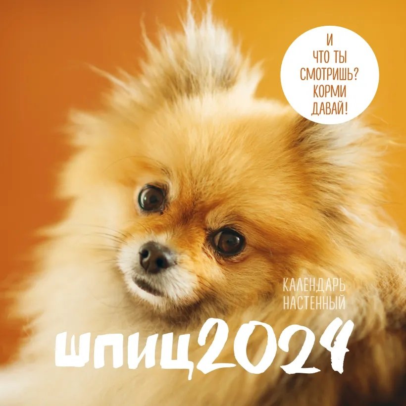 

Шпицы. Календарь настенный на 2024 год (300х300)