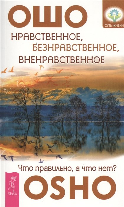 Нравственное, безнравственное, вненравственное: что правильно, а что нет?