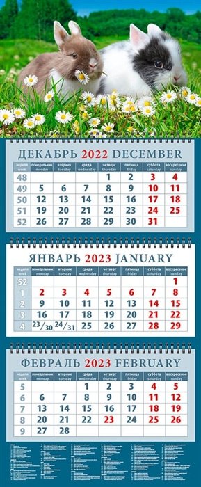 Календарь квартальный на 2023 год "Год кролика. Двое друзей на прогулке"