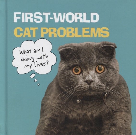 First World Cat Problems: What Am I Doing with My Lives?