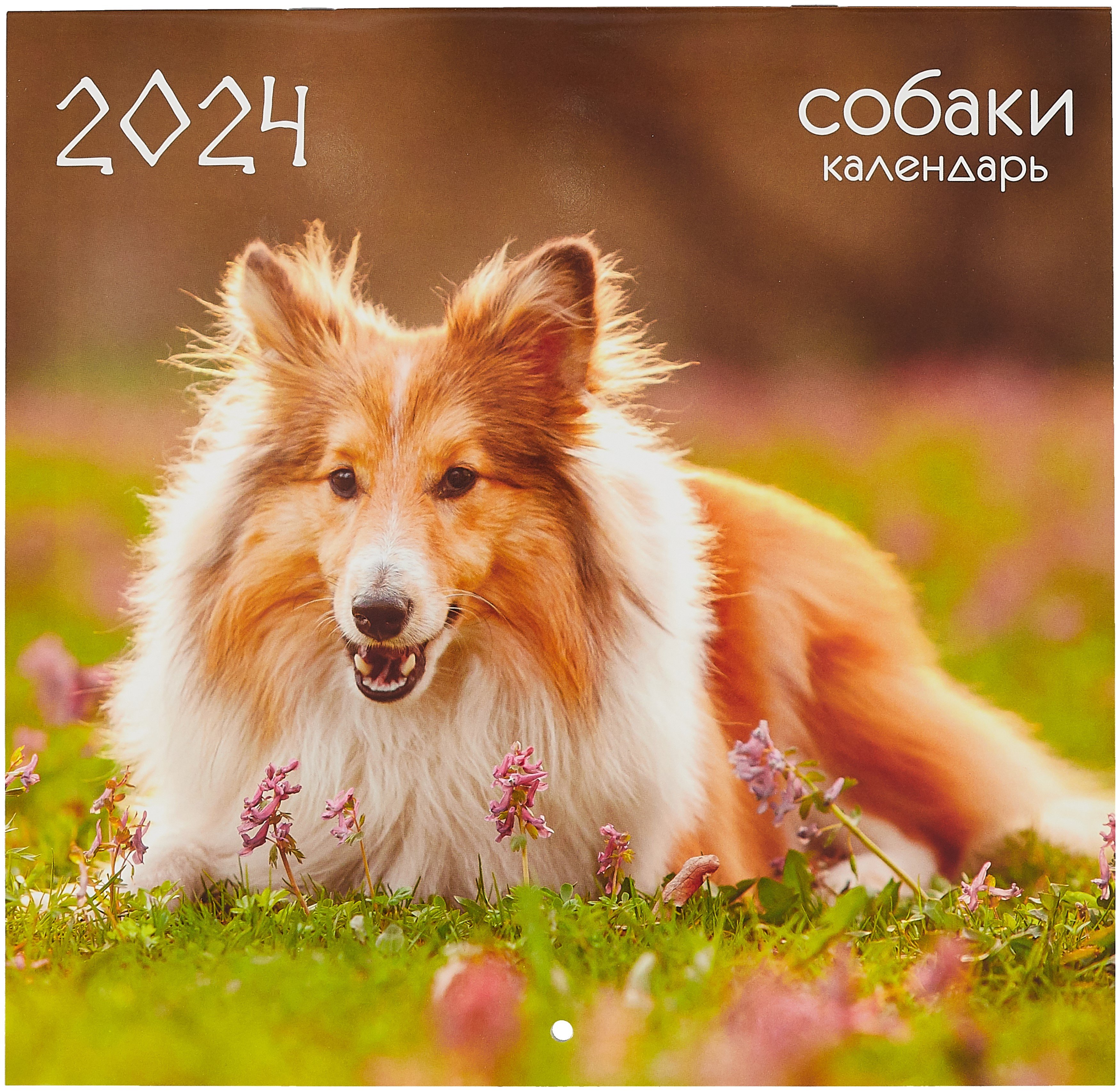 

Календарь 2024г 300*580 "Домашние любимцы. 14" настенный, на скрепке
