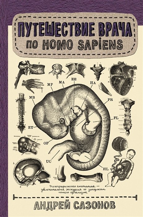    Homo Sapiens
