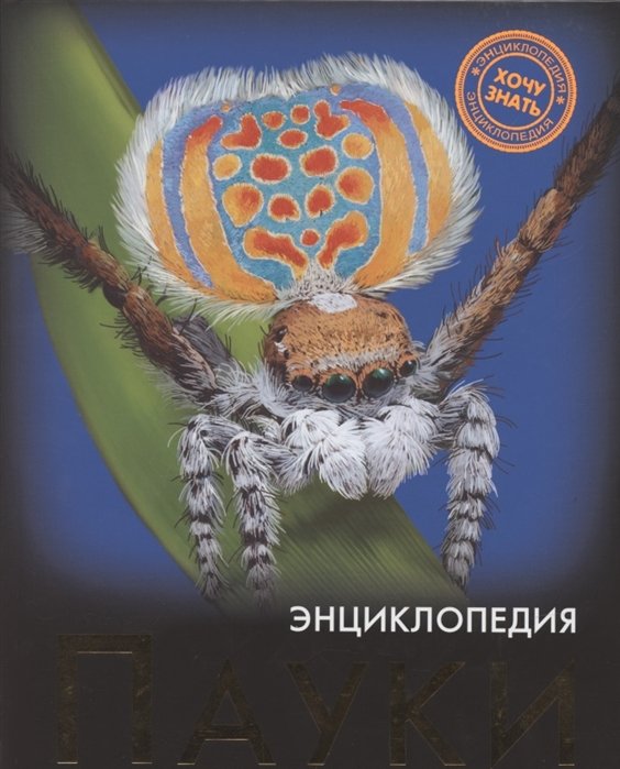 Энциклопедия. Хочу Знать. Пауки