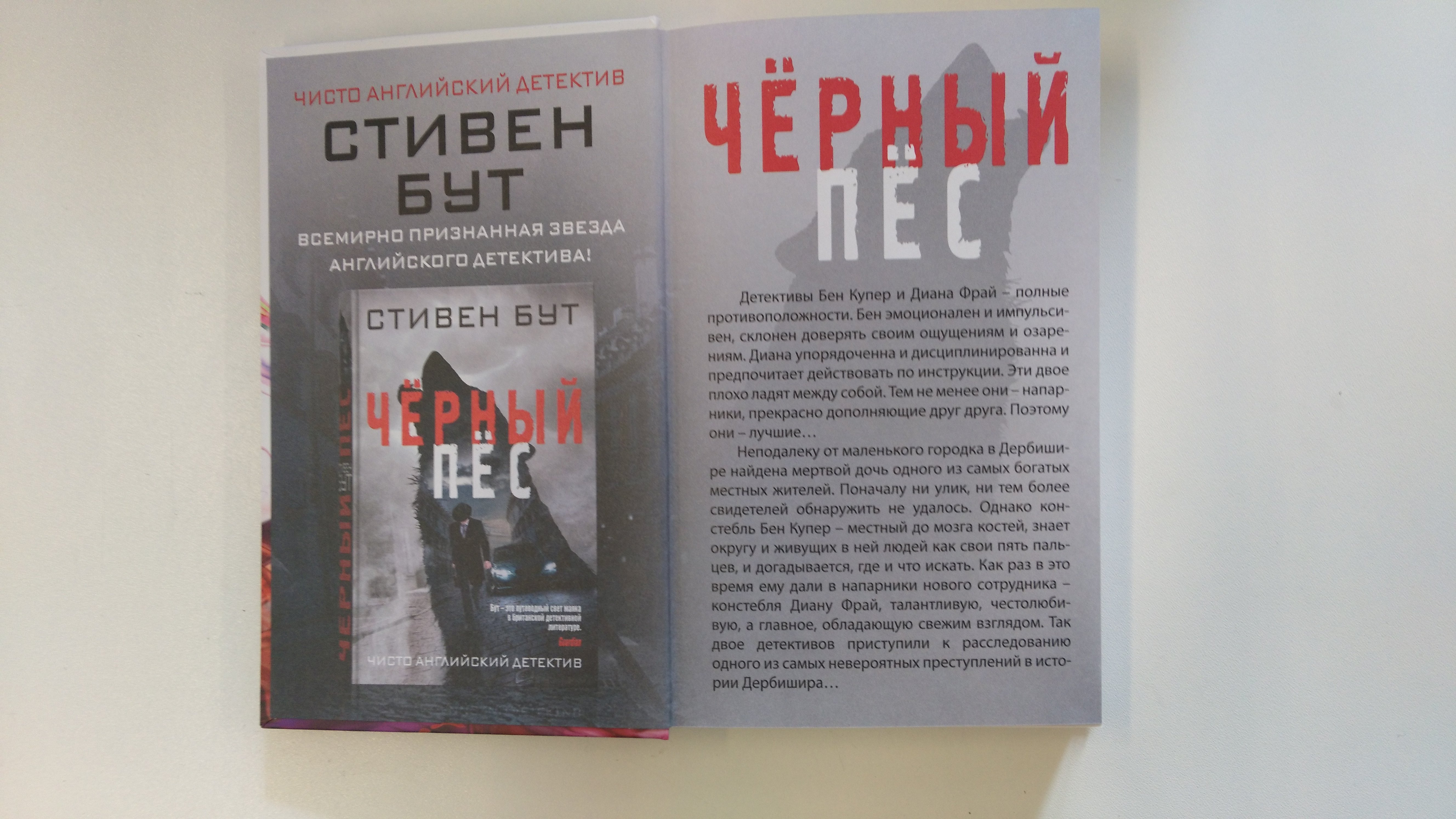 Исчезнувшие (Марсонс Анжела). ISBN: 978-5-699-94314-2 ➠ купите эту книгу с  доставкой в интернет-магазине «Буквоед»