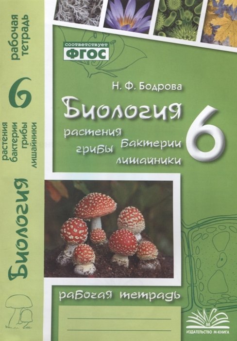 Бодрова Н. - Биология. 6 класс. Растения. Бактерии. Грибы. Лишайники. Рабочая тетрадь