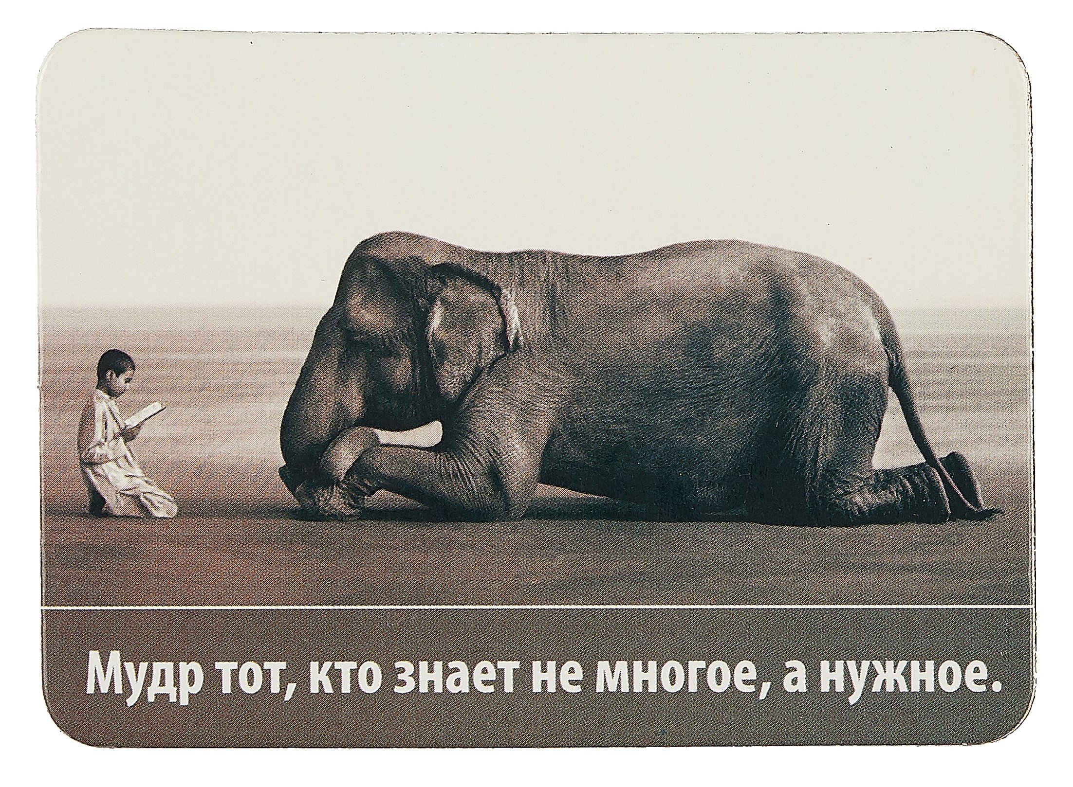 

Магнит (р1_4) (Мудр тот, кто знает не многое, а нужное...) (Магнитик)