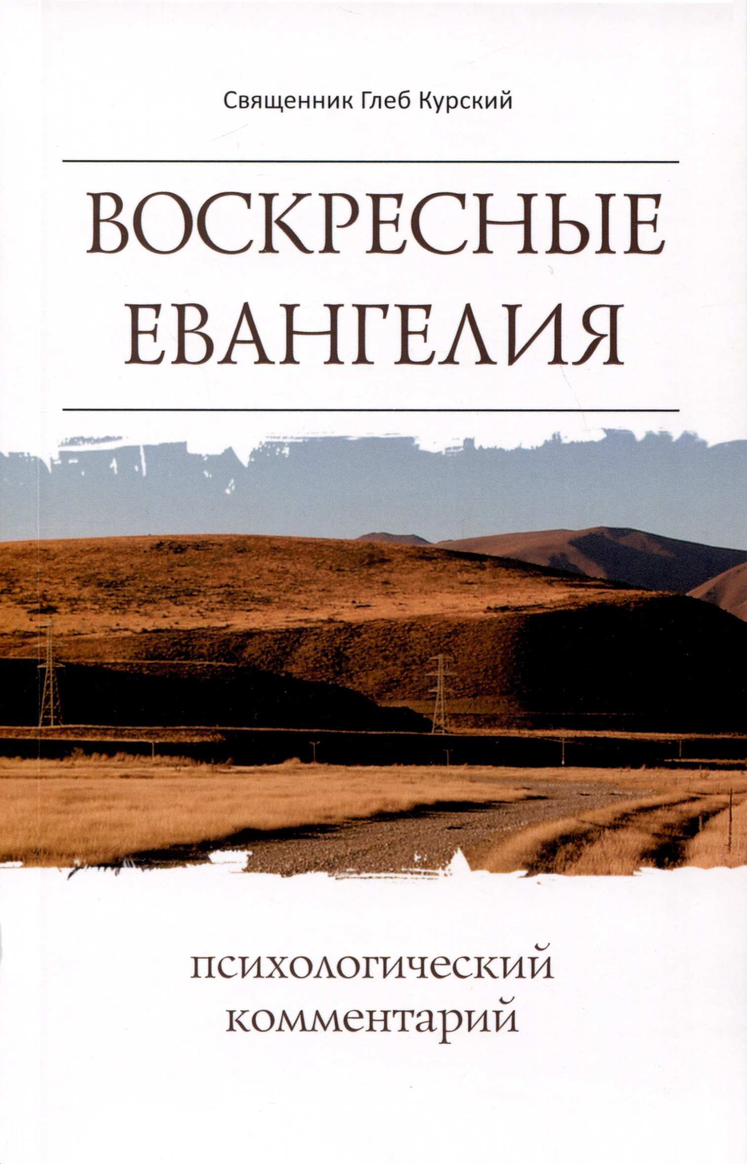 Воскресные Евангелия Психологический комментарий 717₽