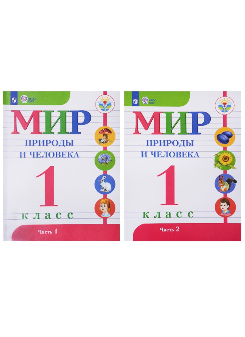 

Мир природы и человека. 1 класс. Учебник для детей с интеллектуальными нарушениями (Комплект из 2-х книг)