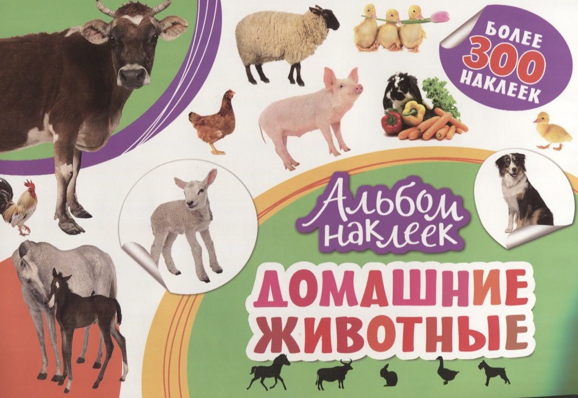 Котятова Н. И.: Домашние животные