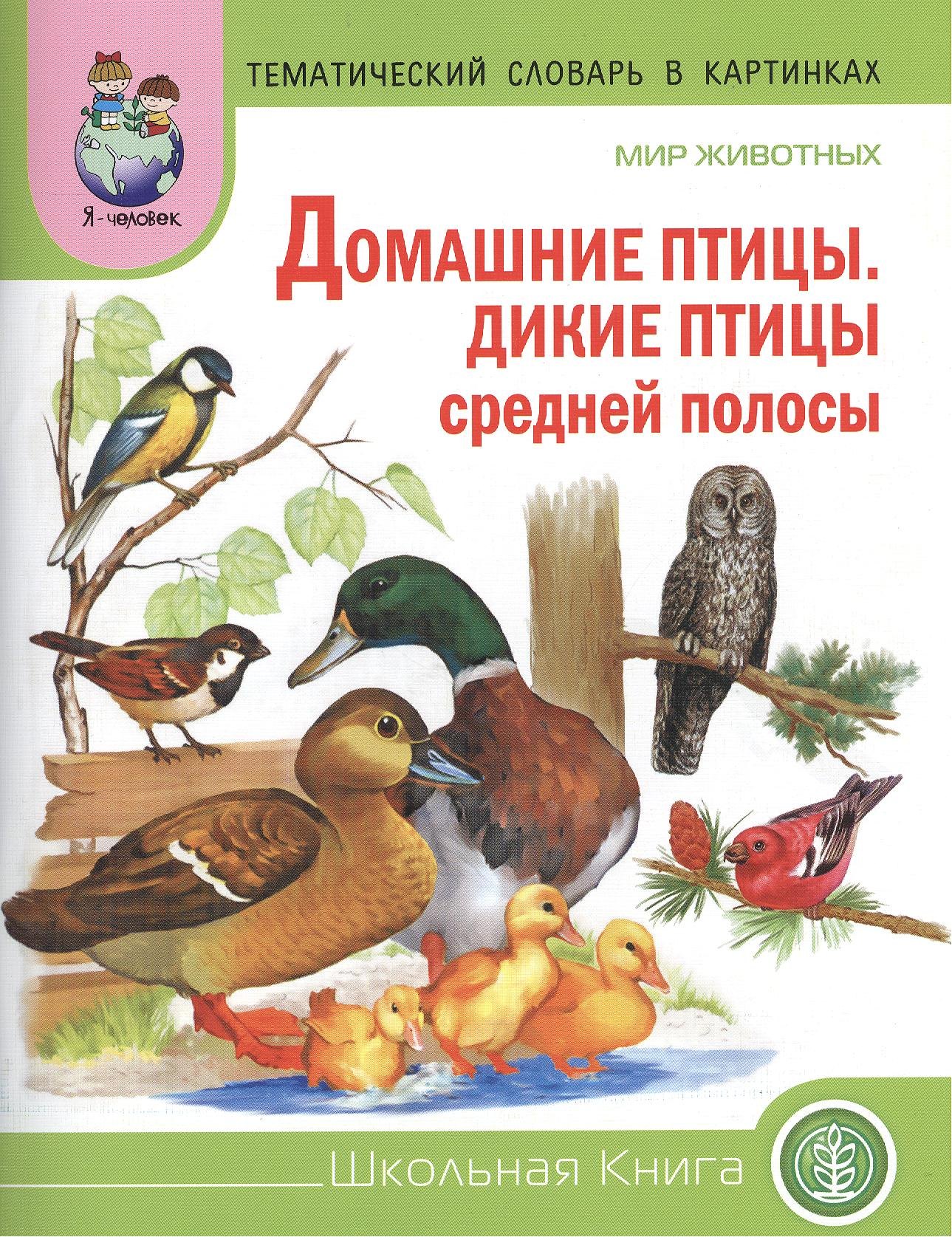 

Мир животных Домашние птицы Дикие птицы средн. полосы (мТемСлКартинк)