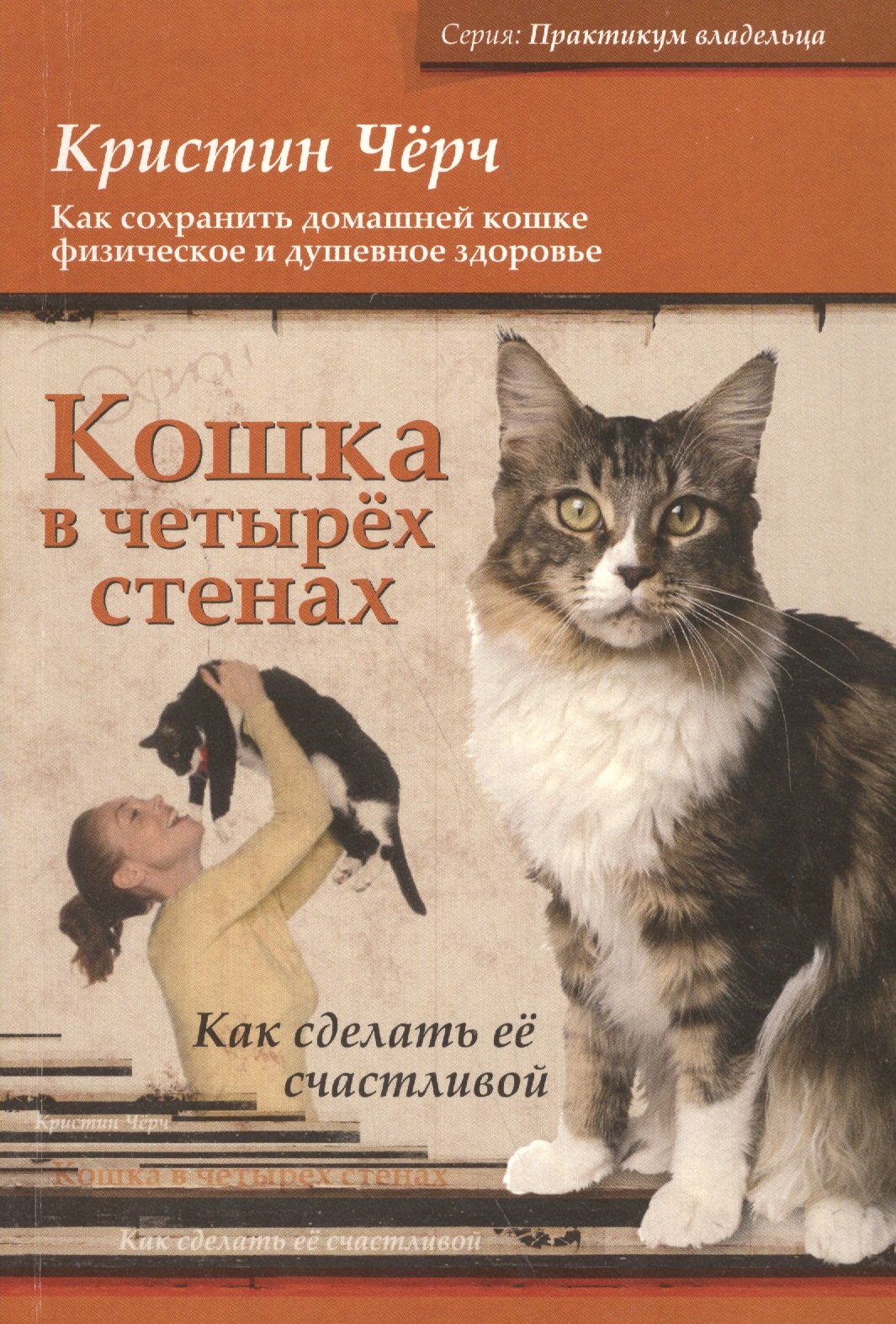 

Кошка в четырёх стенах