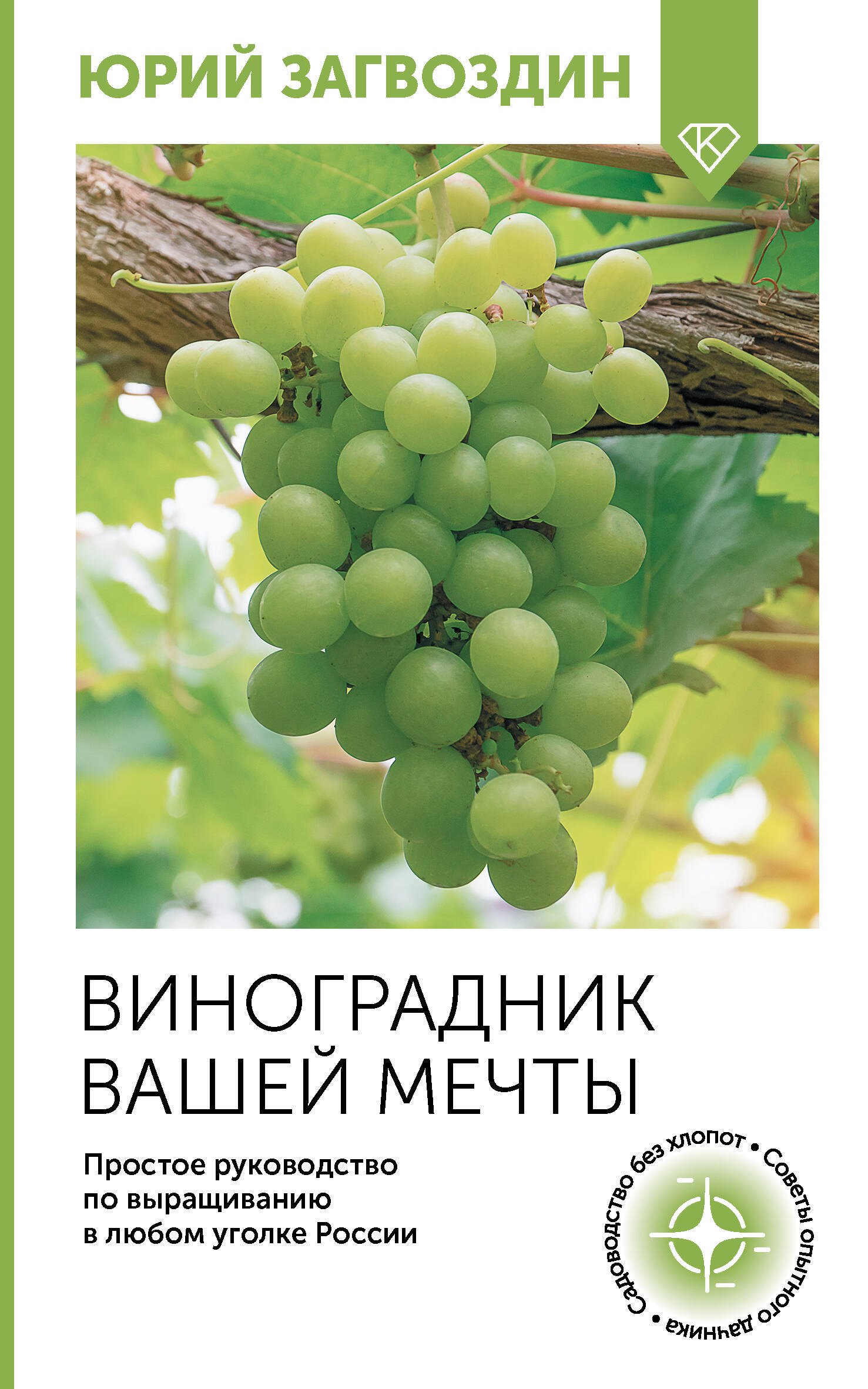 Виноградник вашей мечты Простое руководство по выращиванию в любом уголке России 256₽