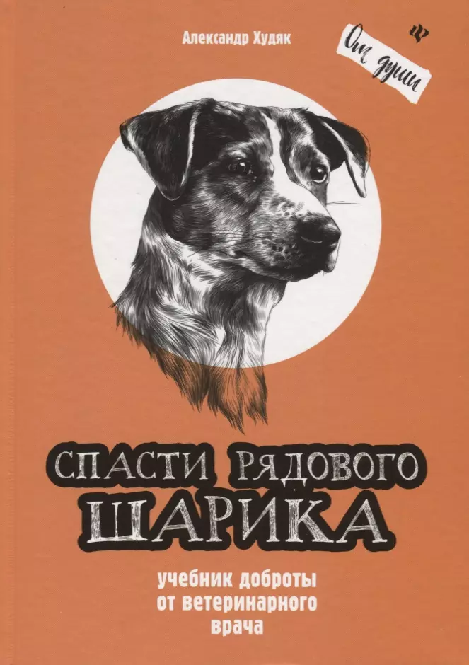 Спасти рядового Шарика. Учебник доброты от ветеринарного врача