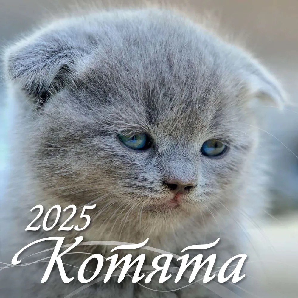 

Календарь 2025г 285*285 "КОТЯТА" настенный, на скрепке