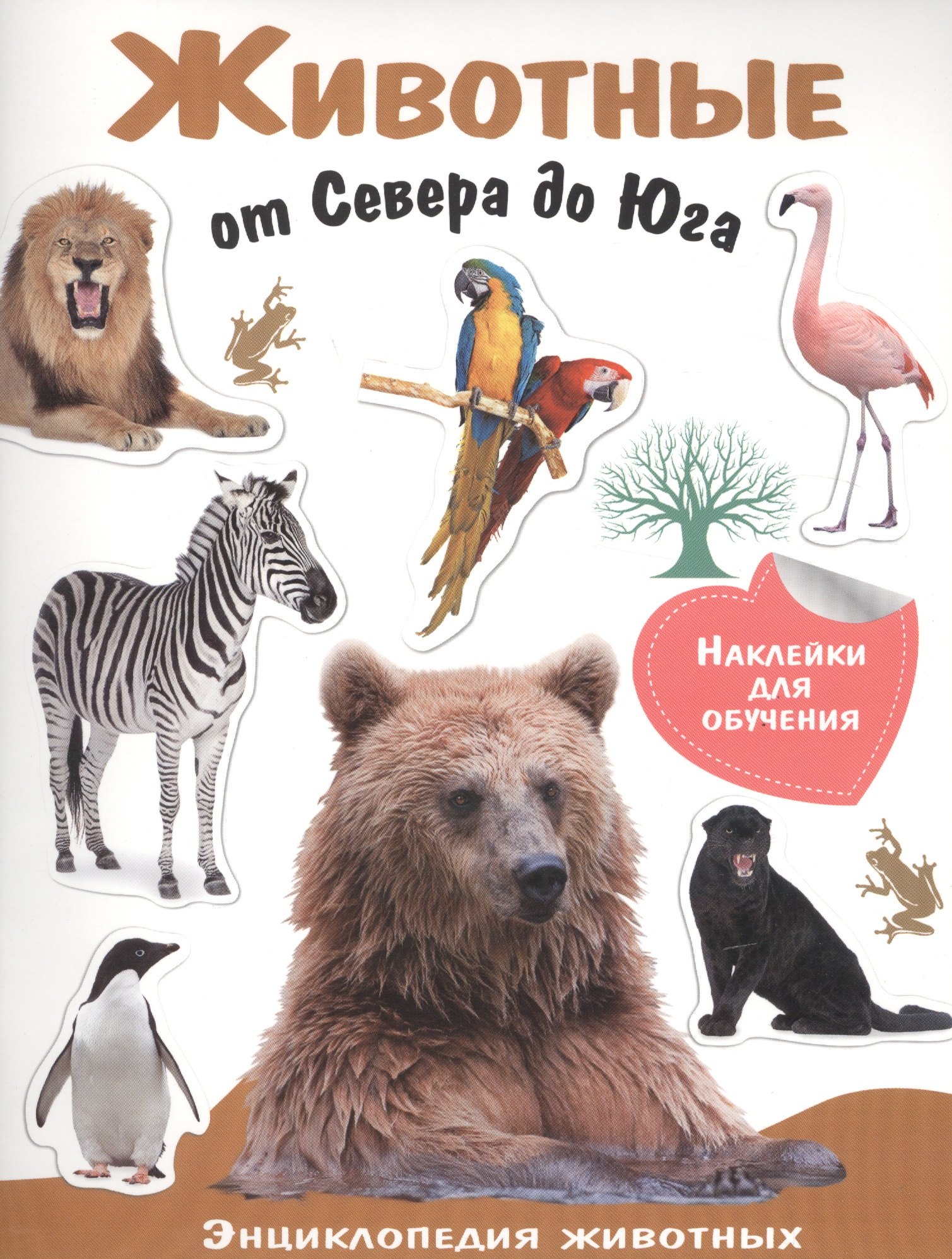 Животные от Севера до Юга 84₽