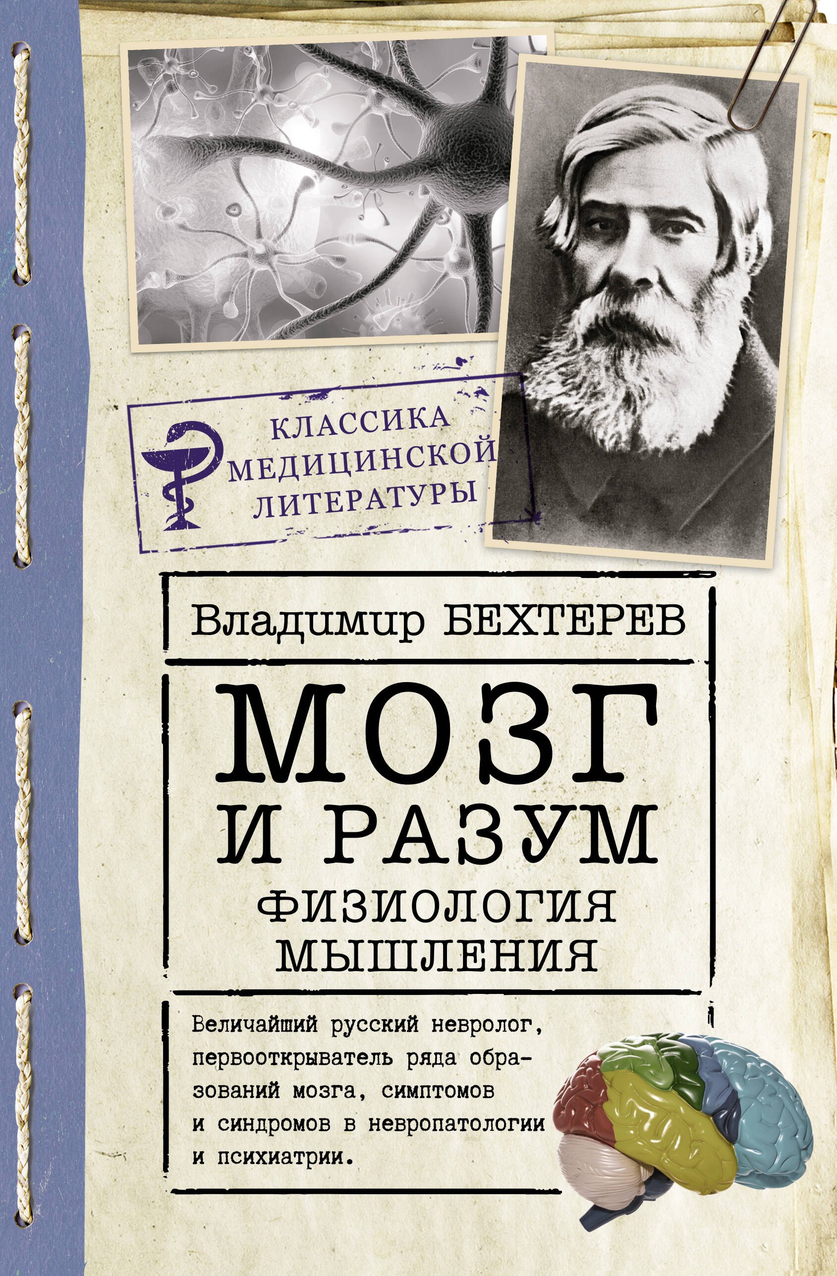 

Мозг и разум: физиология мышления