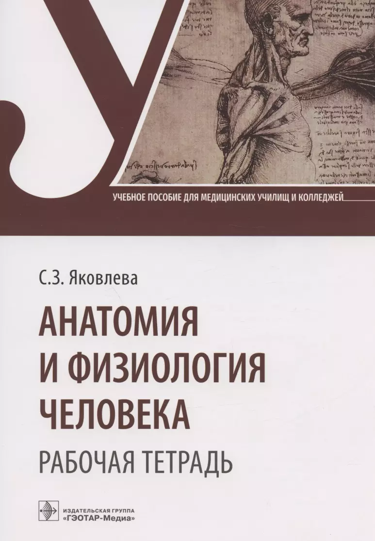 Анатомия и физиология человека. Рабочая тетрадь. Учебное пособие