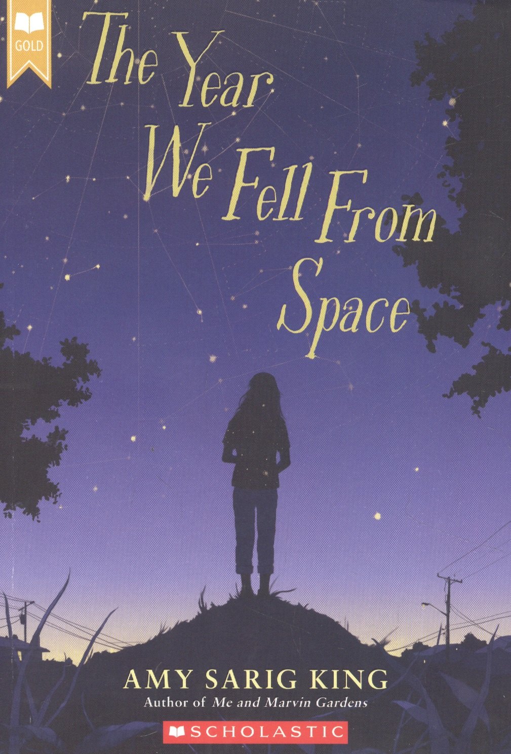 Кинг Эми Сариг: The Year We Fell from Space