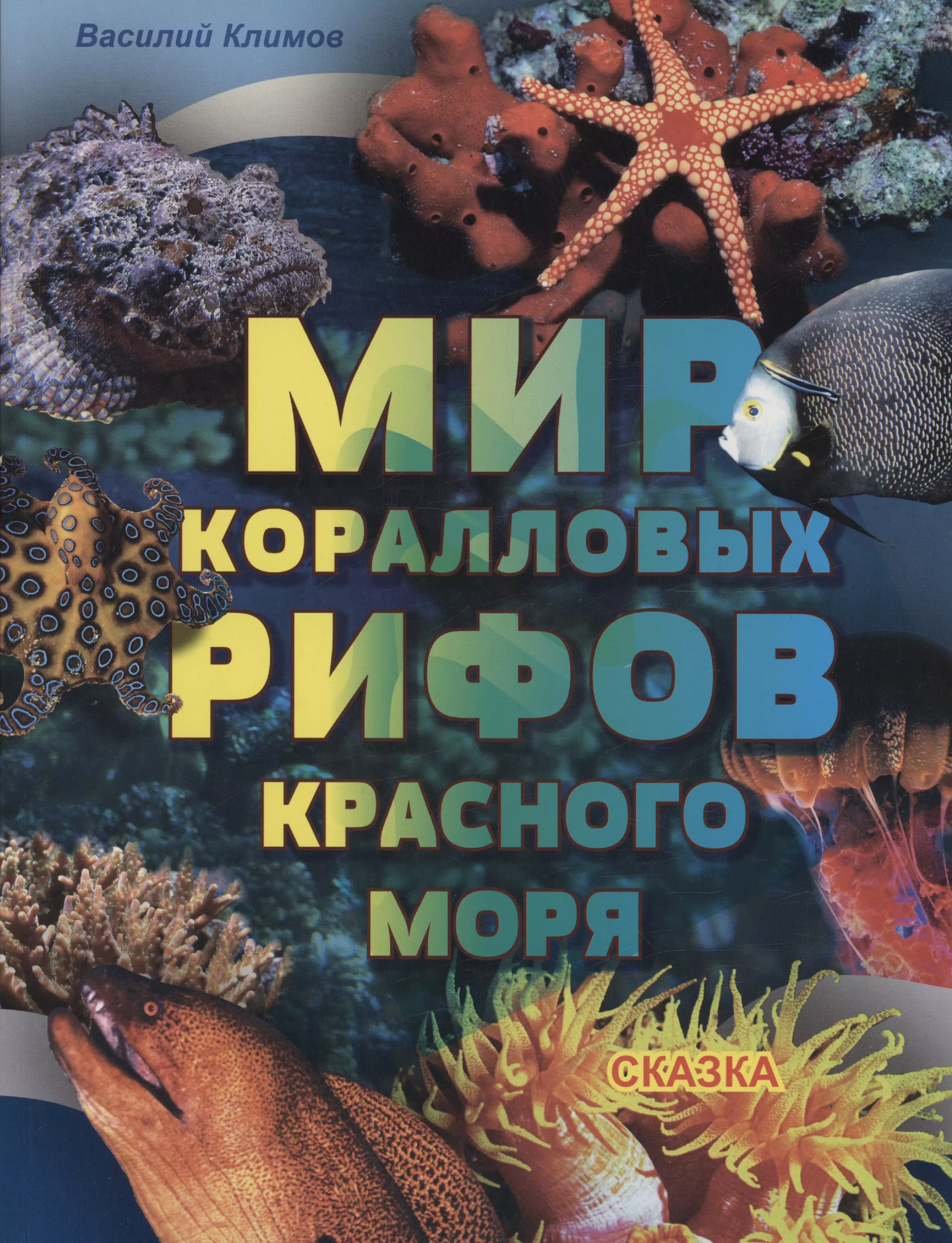 Мир коралловых рифов Красного моря