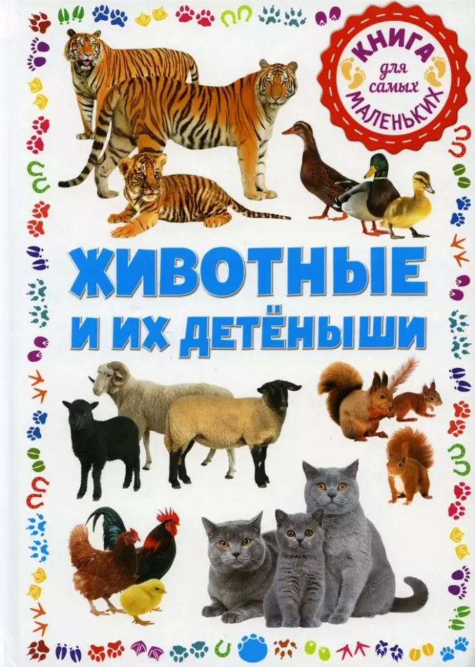 Животные и их детёныши. Книга для самых маленьких