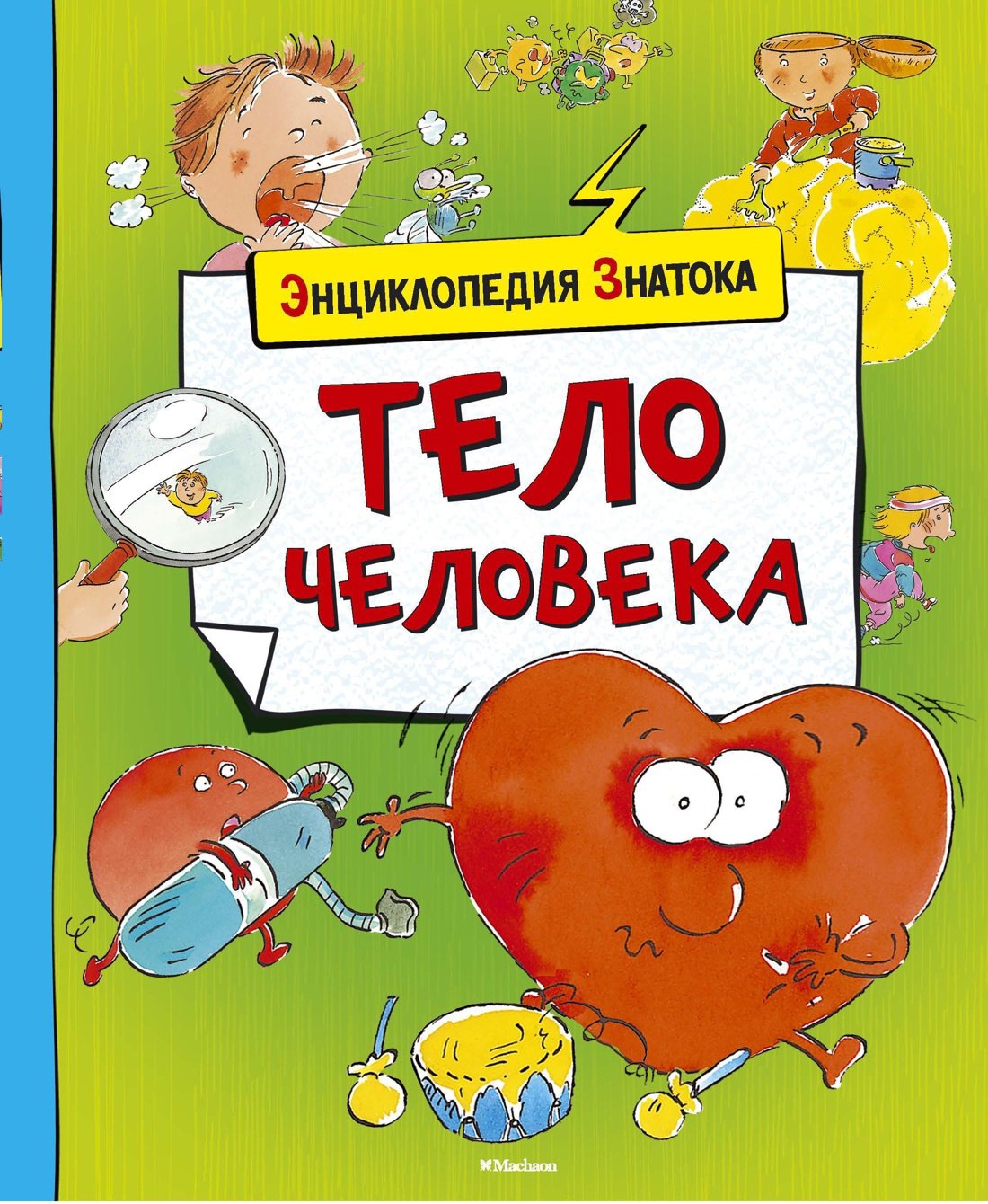 

Тело человека