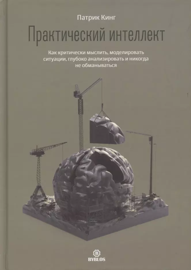 Практический интеллект. Как критически мыслить, моделировать ситуации, глубоко анализировать и никогда не обманываться