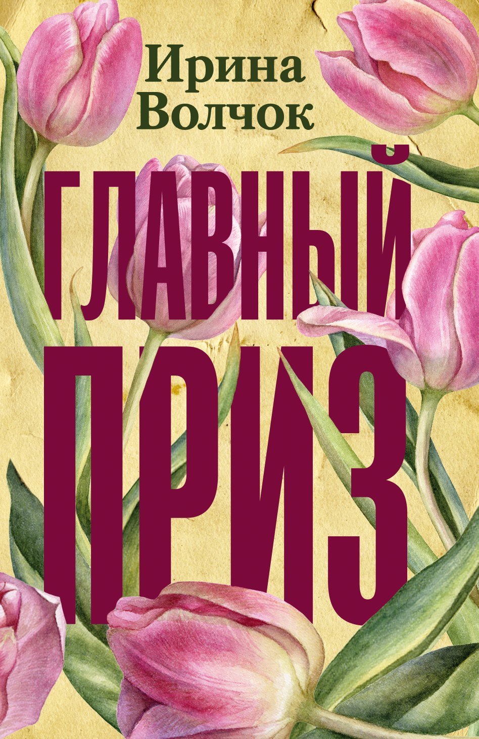 Волчок Ирина: Главный приз