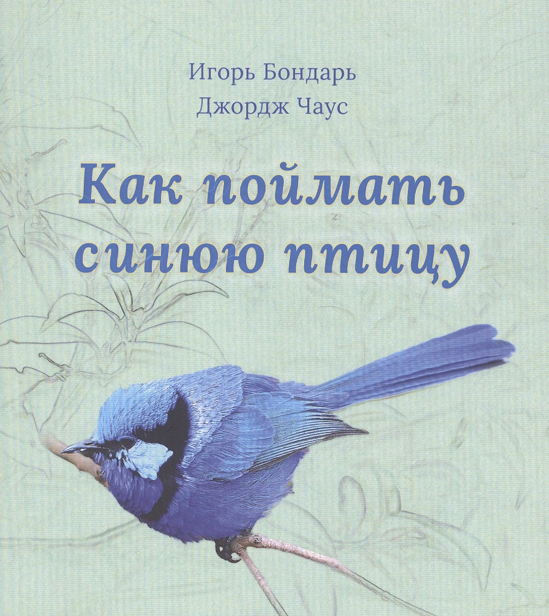 Как поймать синюю птицу