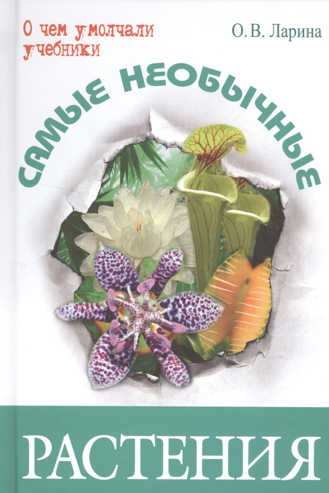 Самые необычные растения 265₽