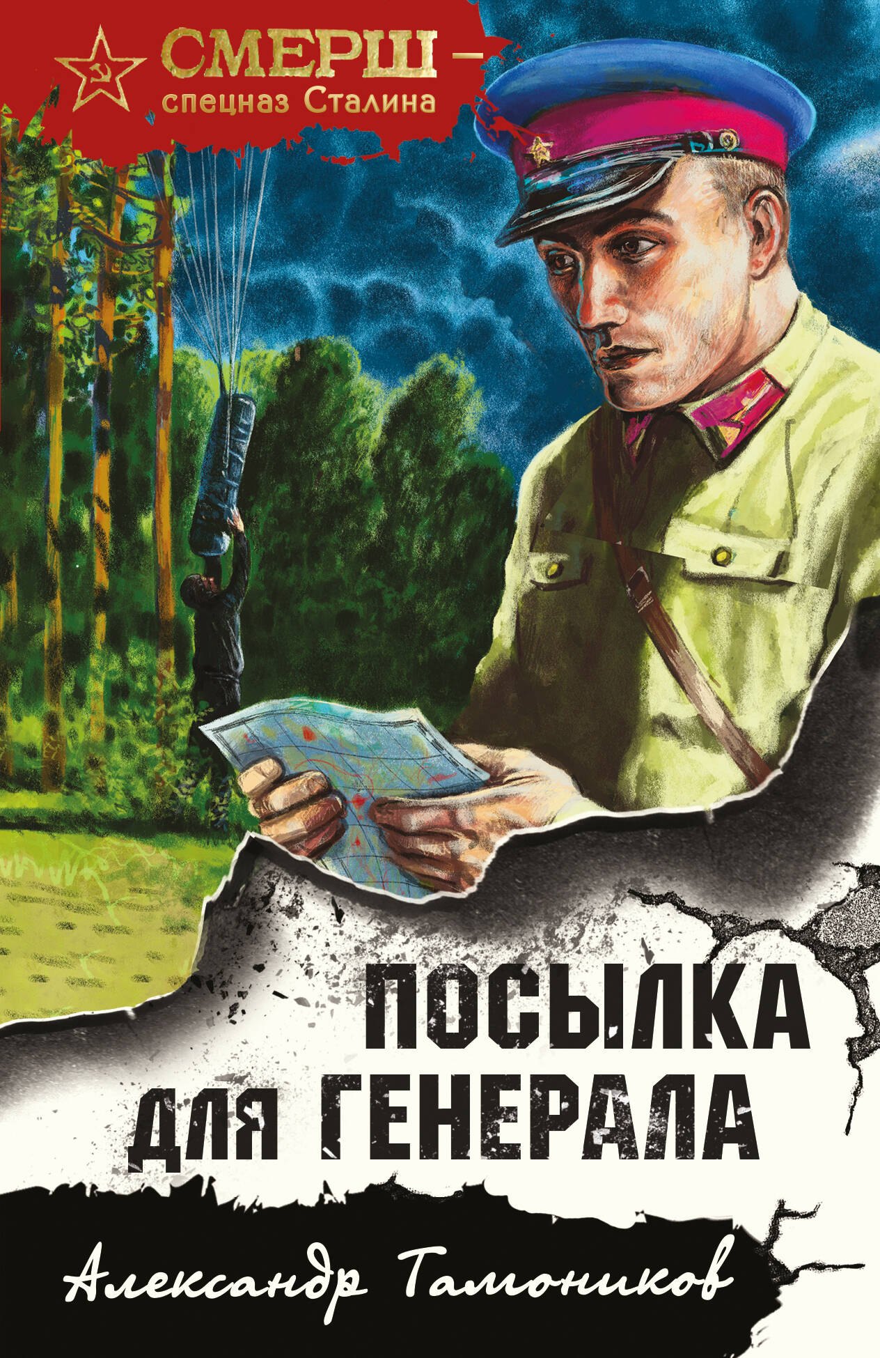 Тамоников Александр Александрович: Посылка для генерала