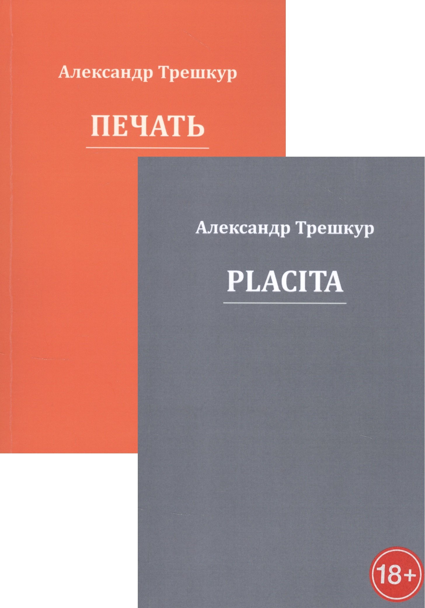 Стихотворения в двух томах Placita Печать комплект из 2 книг 363₽