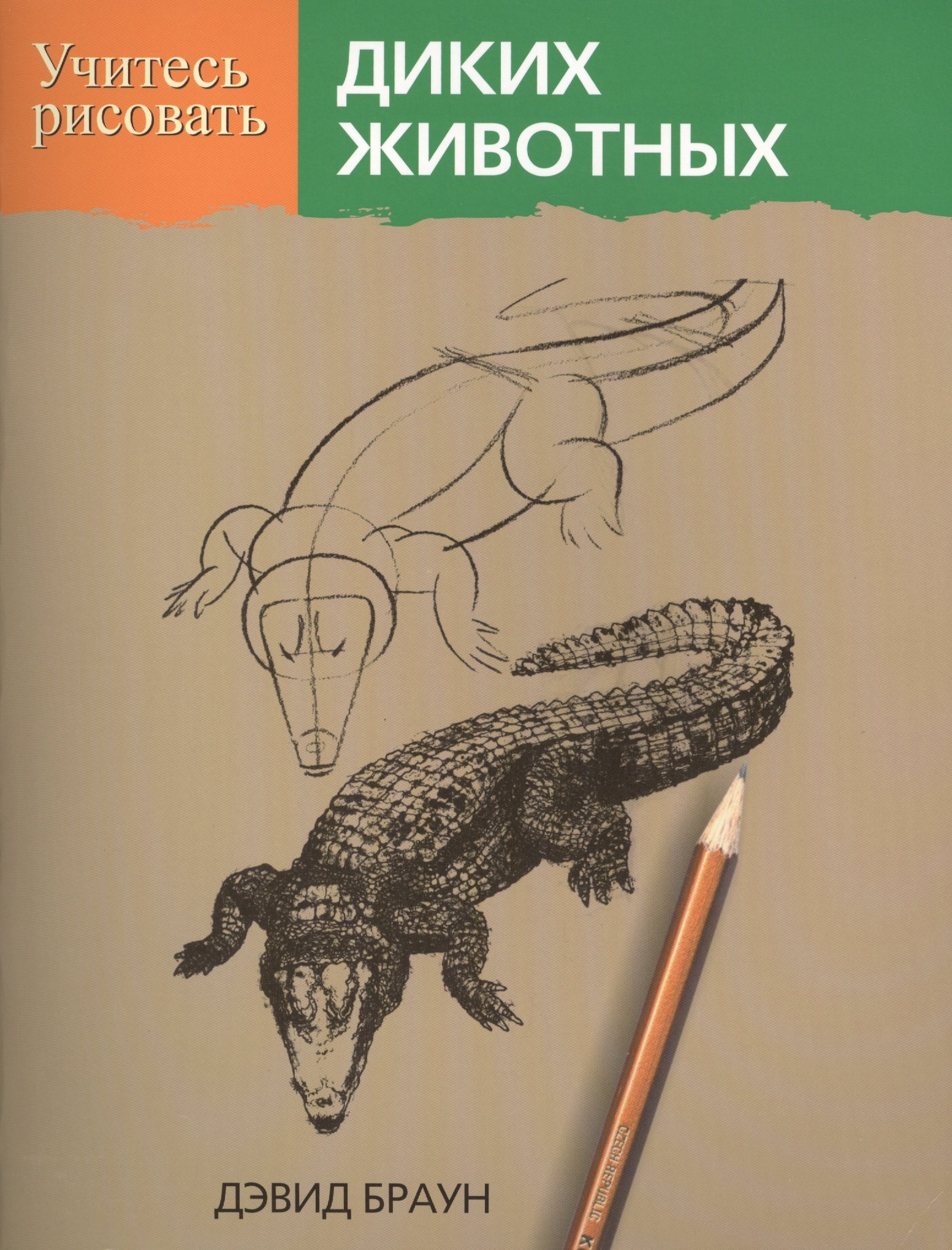 Браун Дэвид: Учитесь рисовать диких животных