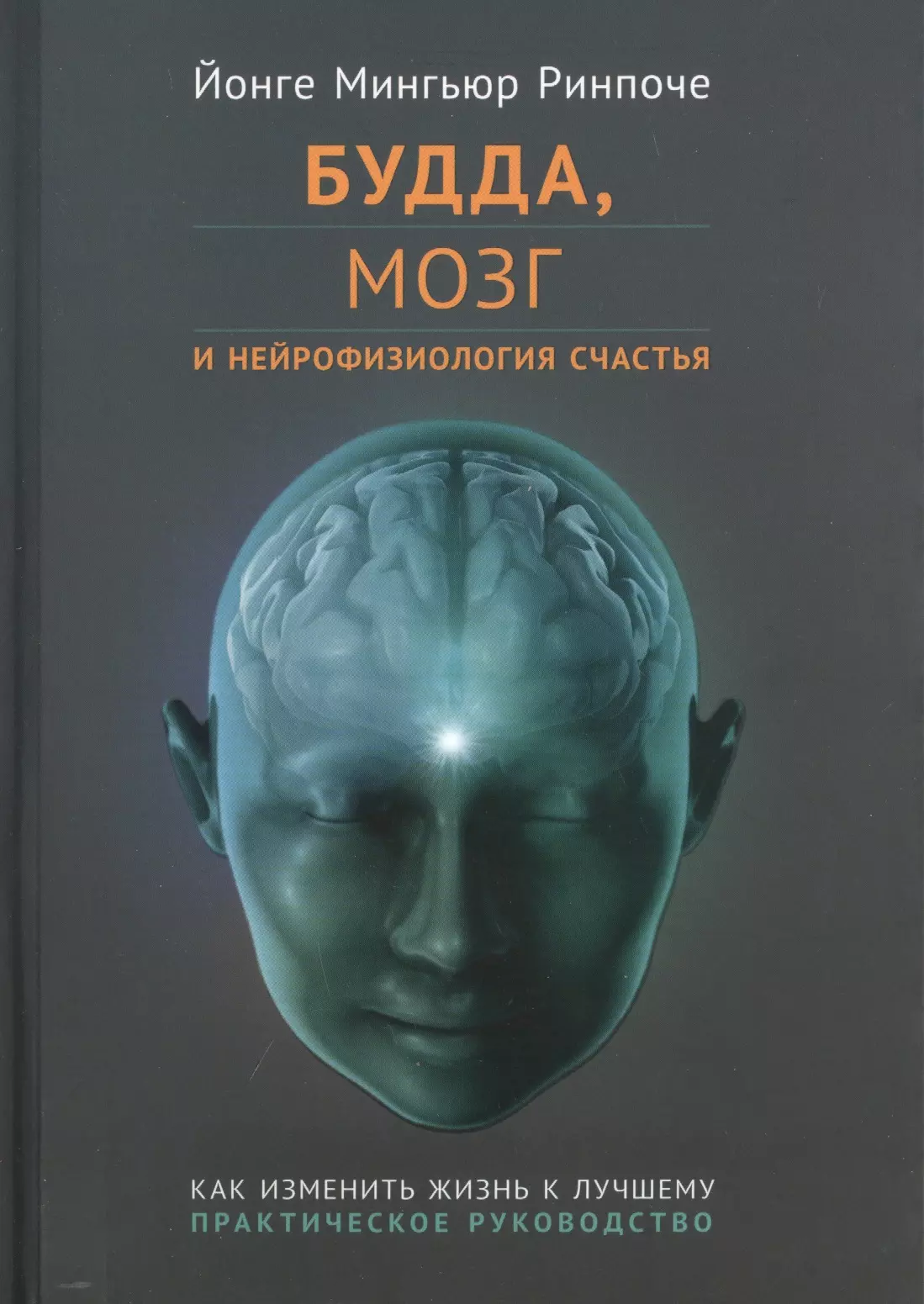 Будда, мозг и нейрофизиология счастья. Как изменить жизнь к лучшему. Практическое руководство