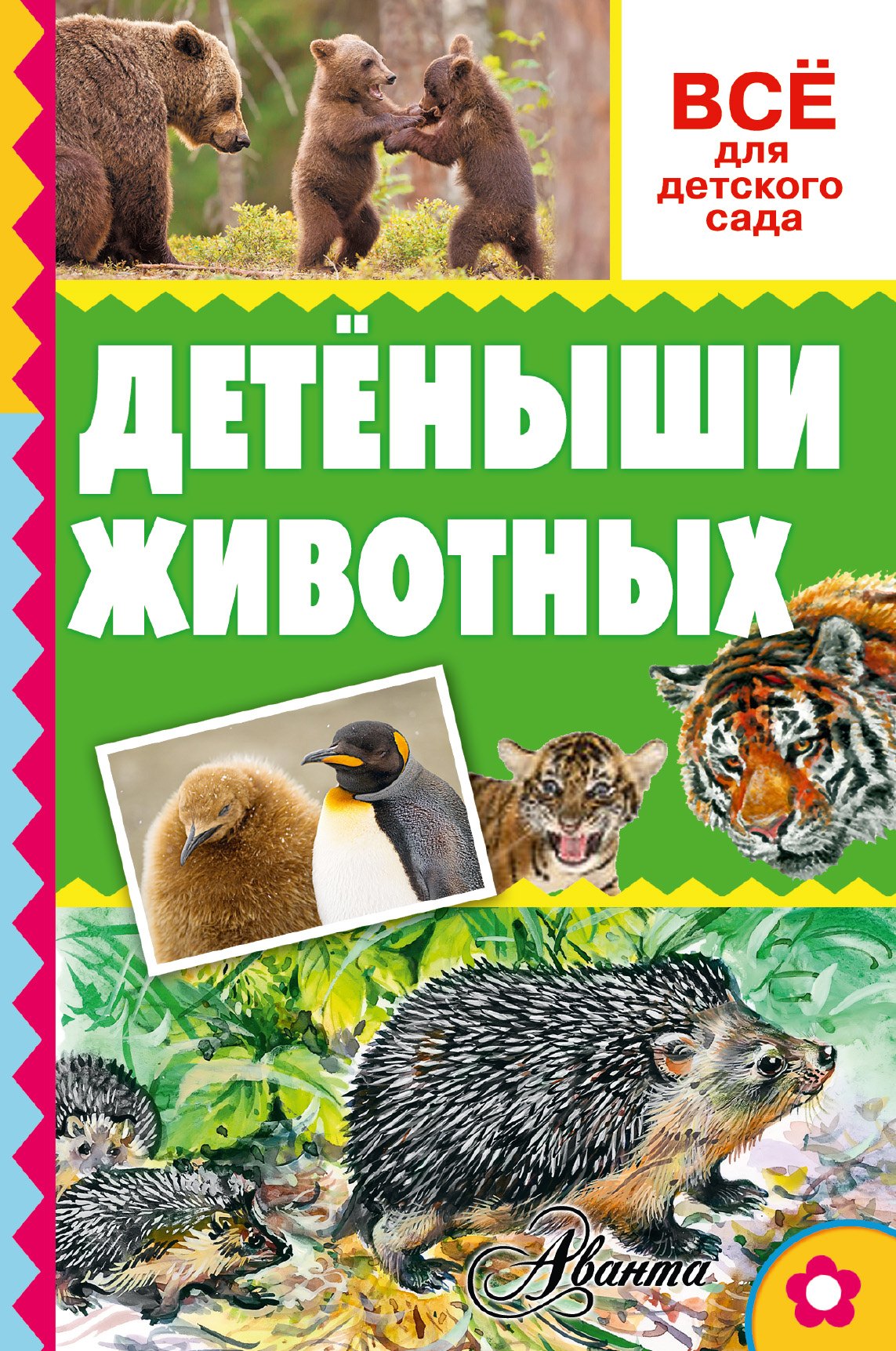 

Детёныши животных