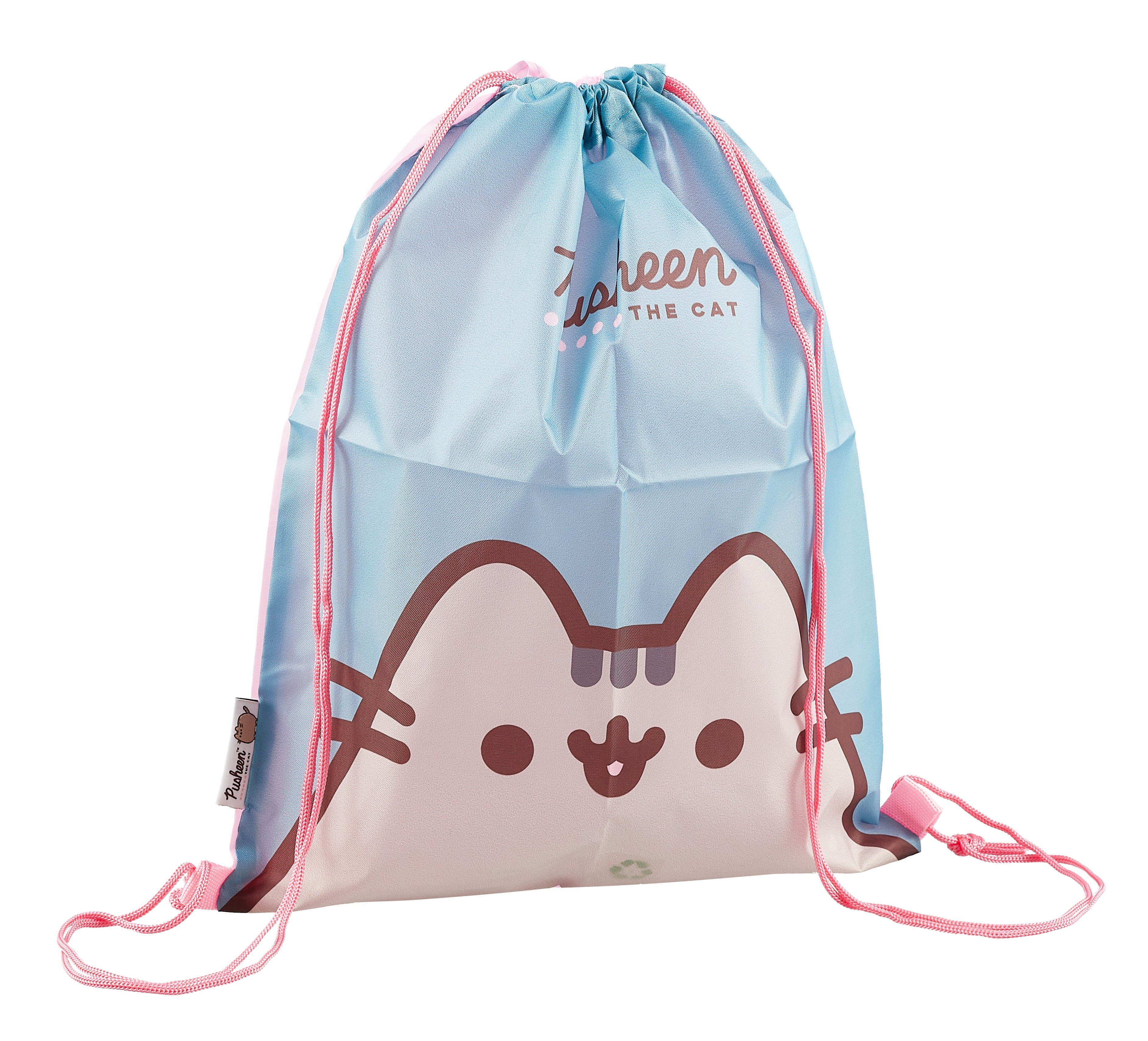 

Мешок для сменной обуви "Pusheen" 38*48см, синий, полиэстер
